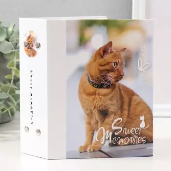 Фотоальбом на 100 фотографий "Кошки-4, кот рыжий" 10x15 см