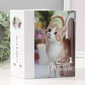 Фотоальбом на 100 фотографий "Кошки-4, кот бежевый" 10x15 см