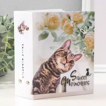 Фотоальбом на 100 фотографий "Кошки-4" 10x15 см