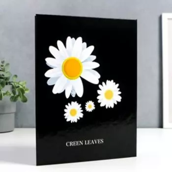 Фотоальбом на 200 фото 10х15 см "Ромашки на чёрном" 5х21,5х29,5 см