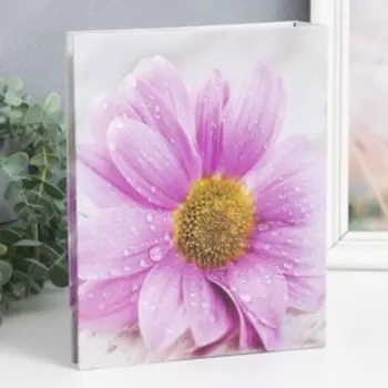 Фотоальбом на 200 фото "Цветок" 10х15 см