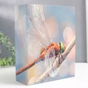 Фотоальбом на 304 фото 10х15 см "Стрекоза"