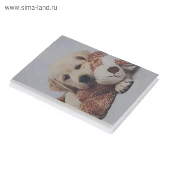 Фотоальбом на 36 фото 10х15 см Pioneer Puppies and kittens щенок