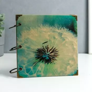 Фотоальбом на кольцах 30 листов «Одуванчик», чёрные листы, 18.518.5 см