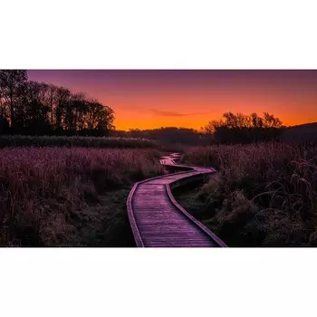 Фотобаннер, 250 150 см, с фотопечатью, люверсы шаг 1 м, «Тропа», Greengo