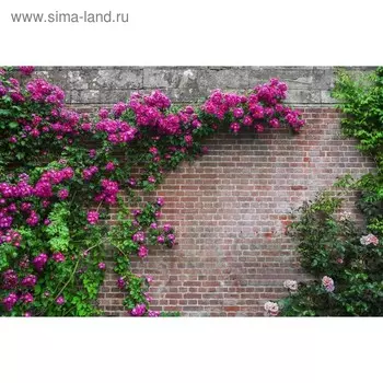 Фотобаннер, 250 150 см, с фотопечатью, люверсы шаг 1 м, «Кирпичная стена», Greengo