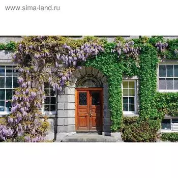 Фотобаннер, 250 150 см, с фотопечатью, люверсы шаг 1 м, «Фасад в цветах», Greengo