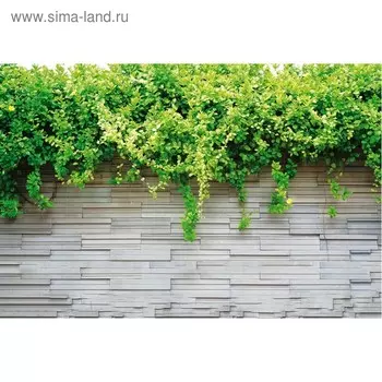 Фотобаннер, 250150 см, с фотопечатью, люверсы шаг 1 м, «Серая стена», Greengo