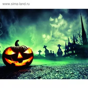 Фотобаннер, 250 200 см, с фотопечатью, люверсы шаг 1 м, «Тыква», Greengo