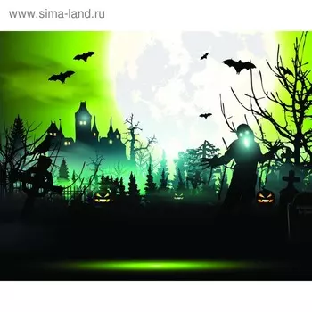 Фотобаннер, 250 200 см, с фотопечатью, люверсы шаг 1 м, «Привидение», Greengo