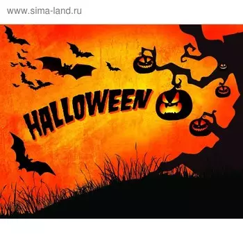 Фотобаннер, 250 200 см, с фотопечатью, люверсы шаг 1 м, «Закат», Greengo