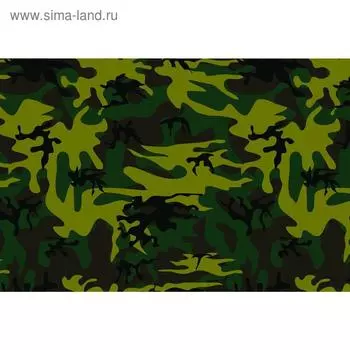 Баннер на забор, 250200 см, с фотопечатью, люверсы шаг 1 м, «Камуфляж тёмно-зелёный», Greengo