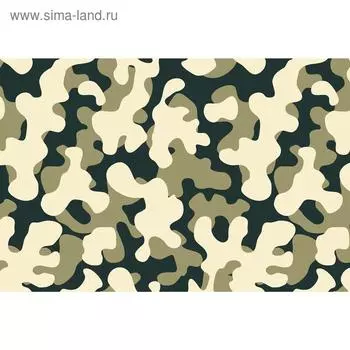 Фотобаннер, 250 200 см, с фотопечатью, люверсы шаг 1 м, «Камуфляж 15», Greengo