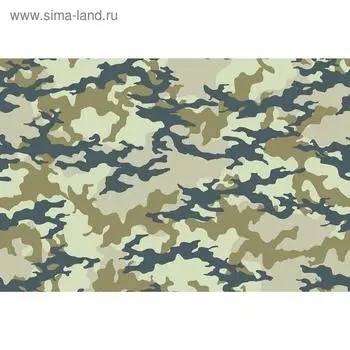 Баннер на забор, 250200 см, с фотопечатью, люверсы шаг 1 м, «Камуфляж бежевый», Greengo