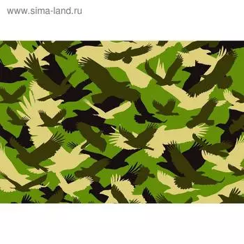 Фотобаннер, 250 200 см, с фотопечатью, люверсы шаг 1 м, «Камуфляж. Птицы», Greengo