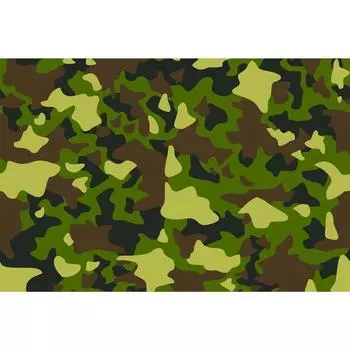 Фотобаннер, 250 200 см, с фотопечатью, люверсы шаг 1 м, «Камуфляж 1», Greengo