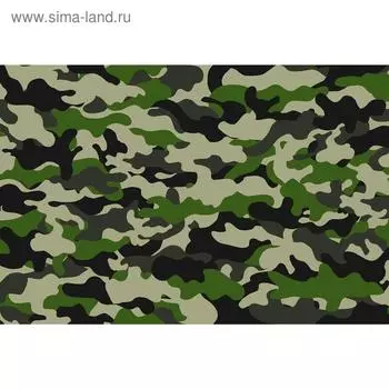 Баннер на забор, 250200 см, с фотопечатью, люверсы шаг 1 м, «Камуфляж зелёно-бежевый», Greengo