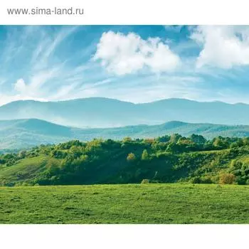 Фотобаннер, 250 200 см, с фотопечатью, люверсы шаг 1 м, «Луг», Greengo