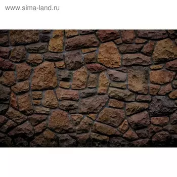 Фотобаннер, 250200 см, с фотопечатью, люверсы шаг 1 м, «Ракушечник», Greengo