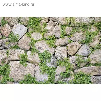 Фотобаннер, 250 150 см, с фотопечатью, люверсы шаг 1 м, «Каменная стена», Greengo