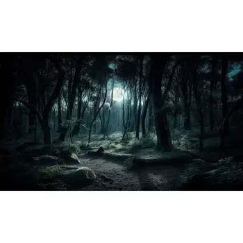 Фотобаннер, 300 160 см, с фотопечатью, люверсы шаг 1 м, «Полнолуние», Greengo