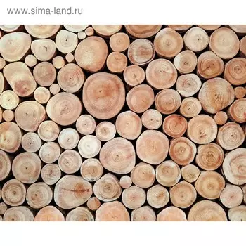 Фотобаннер, 300160 см, с фотопечатью, люверсы шаг 1 м, «Поленница», Greengo