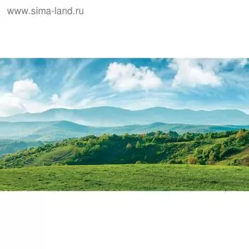 Фотобаннер, 300 160 см, с фотопечатью, люверсы шаг 1 м, «Луг», Greengo