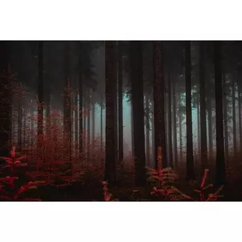 Фотобаннер, 300 200 см, с фотопечатью, люверсы шаг 1 м, «Красный лес», Greengo