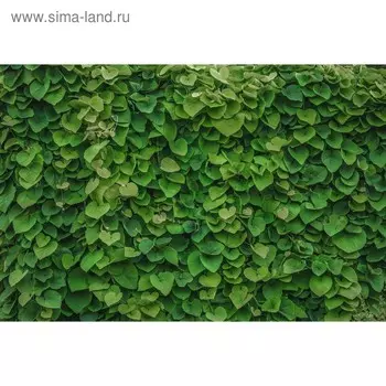 Фотобаннер, 300 200 см, с фотопечатью, люверсы шаг 1 м, «Зелёная стена», Greengo