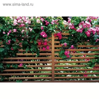 Фотобаннер, 300 200 см, с фотопечатью, люверсы шаг 1 м, «Полоса», Greengo