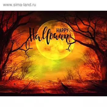 Фотобаннер, 300200 см, с фотопечатью, люверсы шаг 1 м, «Полнолуние 2», Greengo