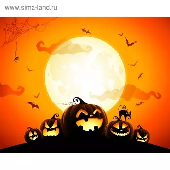 Фотобаннер, 300 200 см, с фотопечатью, люверсы шаг 1 м, «Полнолуние», Greengo