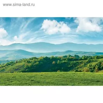 Фотобаннер «Луг и облака», 300200 см, с фотопечатью, люверсы шаг 1 м, Greengo