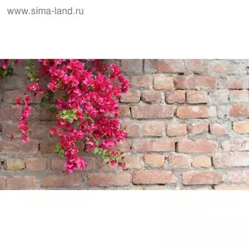 Фотобаннер, 300 200 см, с фотопечатью, люверсы шаг 1 м, «Красные цветы», Greengo