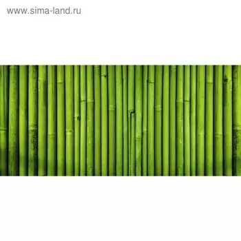 Фотобаннер, 300 200 см, с фотопечатью, люверсы шаг 1 м, «Бамбук», Greengo