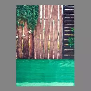 Фотофон винил "Изгородь с вьюном" 150х210 см