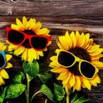 Фотофон винил "Подсолнушки в очках на досках" 120х80 см