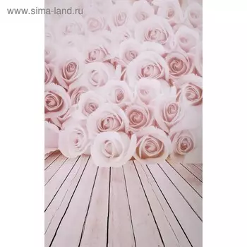 Фотофон для съёмок, винил «Розы», стена и пол, 80125 см
