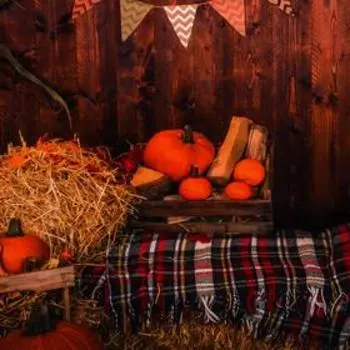 Фотофон винил "Тыквы, сено" 100х150 см