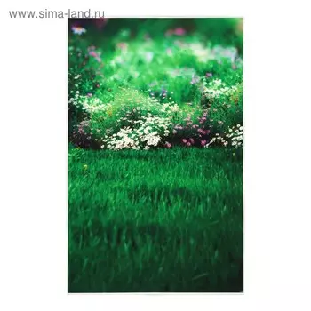 Фотофон винил "Зелёная лужайка с ромашками" стена+пол 80х125 см