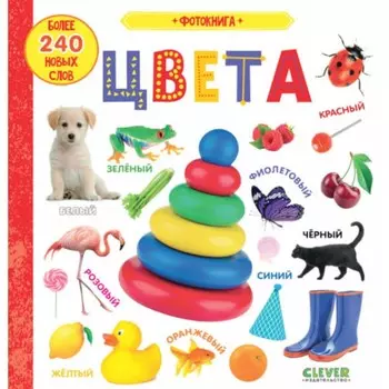 Фотокнига. Цвета