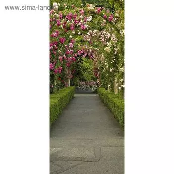 Фотообои "Аллея в цвету" С-027 (1 полотно), 95x220 см