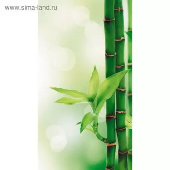 Фотообои "Бамбук" 1-А-111 (1 полотно), 150х270 см