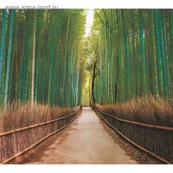 Фотообои "Бамбуковая роща" M 309 (3 полотна), 300х270 см
