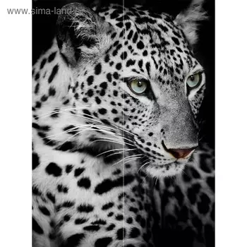 Фотообои флизелиновые Flizetto Matrix «Взгляд хищника» 200х270 см