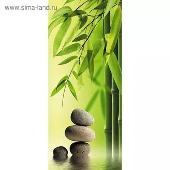 Фотообои "Гармония Востока" С-030 (1 полотно), 95x220 см