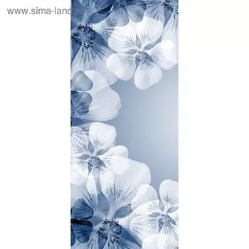 Фотообои "Голубой гербарий" С-057 (1 полотно), 95x220 см