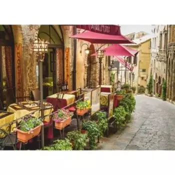 Фотообои К-074/B"Валенсия", 280*200 см