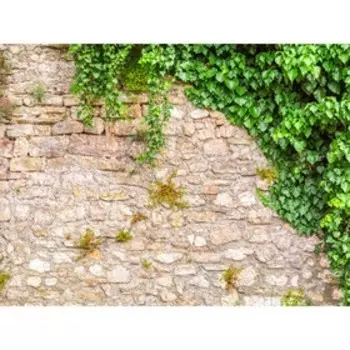 Фотообои Каменная стена 3.6*2,7 (из 4 листов)