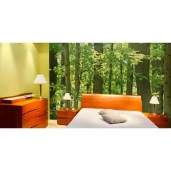 Фотообои "Кленовый лес", 2,7х2,7 м